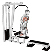 inverse leg curl (on pull-up cable machine) demonstration