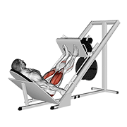 Leg Press demonstration