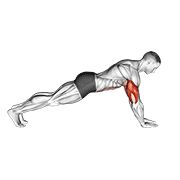 push-up on lower arms - resistance variation demonstration
