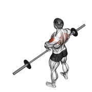 core barbell upright row v. 2 demonstration