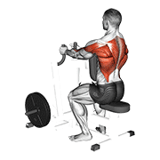 stability lever narrow grip seated row demonstration