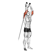 cable overhead triceps extension (rope attachment) demonstration
