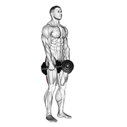 advanced dumbbell stiff leg deadlift demonstration
