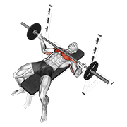 barbell wide reverse grip bench press horizontal demonstration