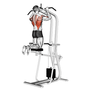 assisted pull-up inclined demonstration