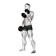 dumbbell hammer curl with traditional demonstration
