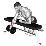 dumbbell over bench one arm wrist curl - strength variation demonstration
