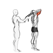 assisted standing triceps extension (with towel) demonstration