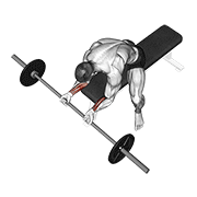 Palms-Up Barbell Wrist Curl Over A Bench demonstration