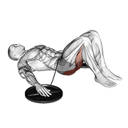 rough band hip lift demonstration