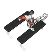 triceps dip (between benches) - extreme variation demonstration