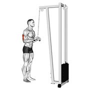flexible cable triceps pushdown (v-bar) demonstration
