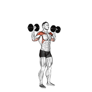 Standing Dumbbell Press demonstration