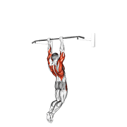 muscle-up (on vertical bar) demonstration