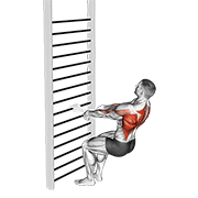 bodyweight squatting row (with towel) demonstration