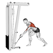 cable one arm bent over row demonstration
