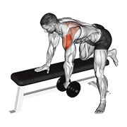 dumbbell rear delt row_shoulder demonstration