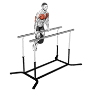 fierce weighted straight bar dip demonstration