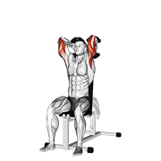 dumbbells seated triceps extension demonstration