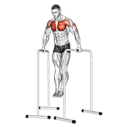 wide-grip chest dip on high parallel bars - low variation demonstration