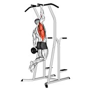 macro style weighted one hand pull up demonstration