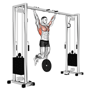 weighted pull-up demonstration
