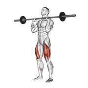 barbell front chest squat demonstration