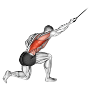 stability style band kneeling one arm pulldown demonstration