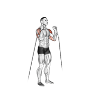 cable alternate shoulder press demonstration