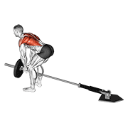 precision style lever bent-over row with v-bar demonstration
