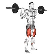 barbell high bar squat core demonstration