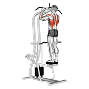 assisted standing chin-up with focused demonstration