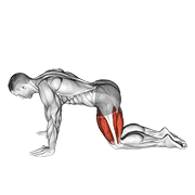 all fours squad stretch - elevated variation demonstration