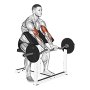 ez barbell close grip preacher curl - precision variation demonstration