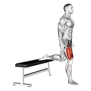 quads complex demonstration