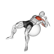 cable one arm press on exercise ball demonstration