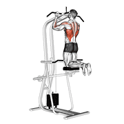 lever assisted chin-up with twisted demonstration
