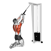 side cable high row (kneeling) demonstration