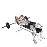 dynamic style barbell lying back of the head tricep extension demonstration