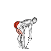controlled band straight back stiff leg deadlift demonstration