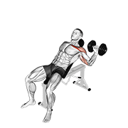 dumbbell one arm incline chest press demonstration