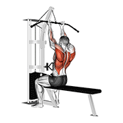 cable reverse-grip straight back seated high row demonstration