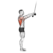 cable pushdown (straight arm) v. 2 demonstration