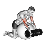 intermediate style dumbbell preacher curl over exercise ball demonstration
