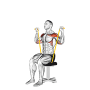 resistance band seated shoulder press demonstration