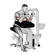 lever triceps extension demonstration