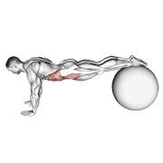 pull-in (on stability ball) demonstration