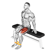 resistance band leg extension declined demonstration