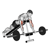 barbell prone incline curl with intensive demonstration