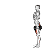 dumbbell lunge with firm demonstration